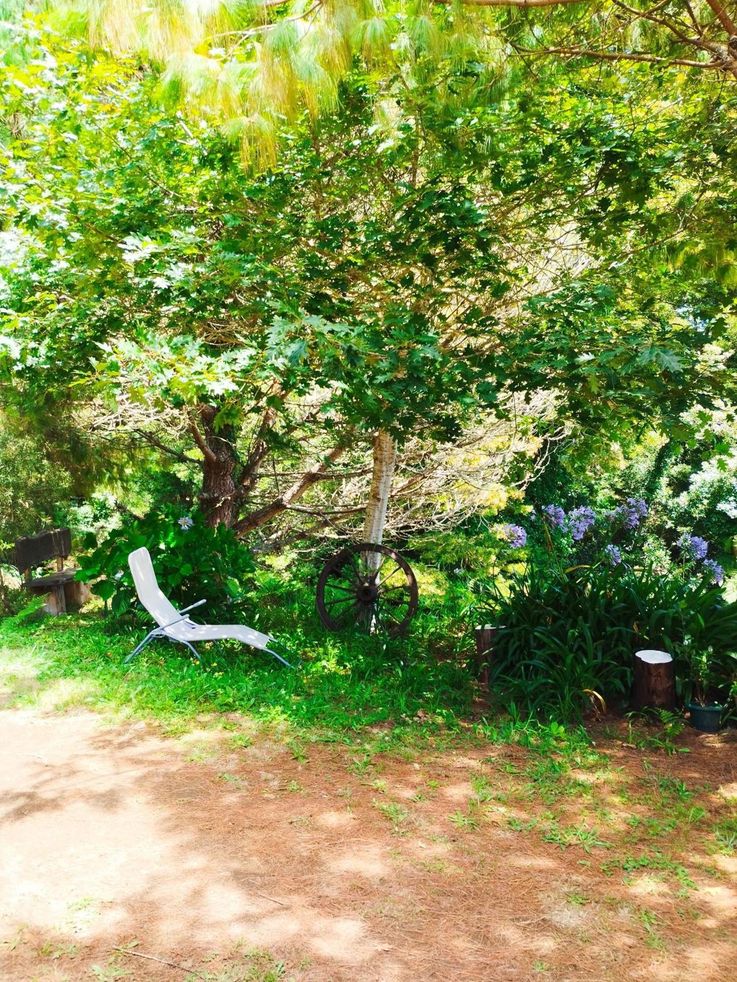 Quinta Meneses Villa Santa Cruz  Buitenkant foto