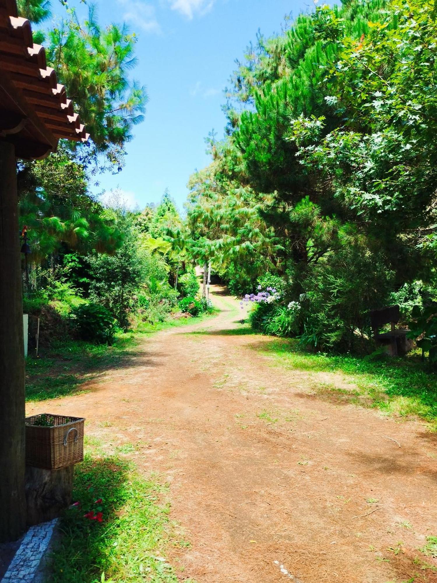 Quinta Meneses Villa Santa Cruz  Buitenkant foto
