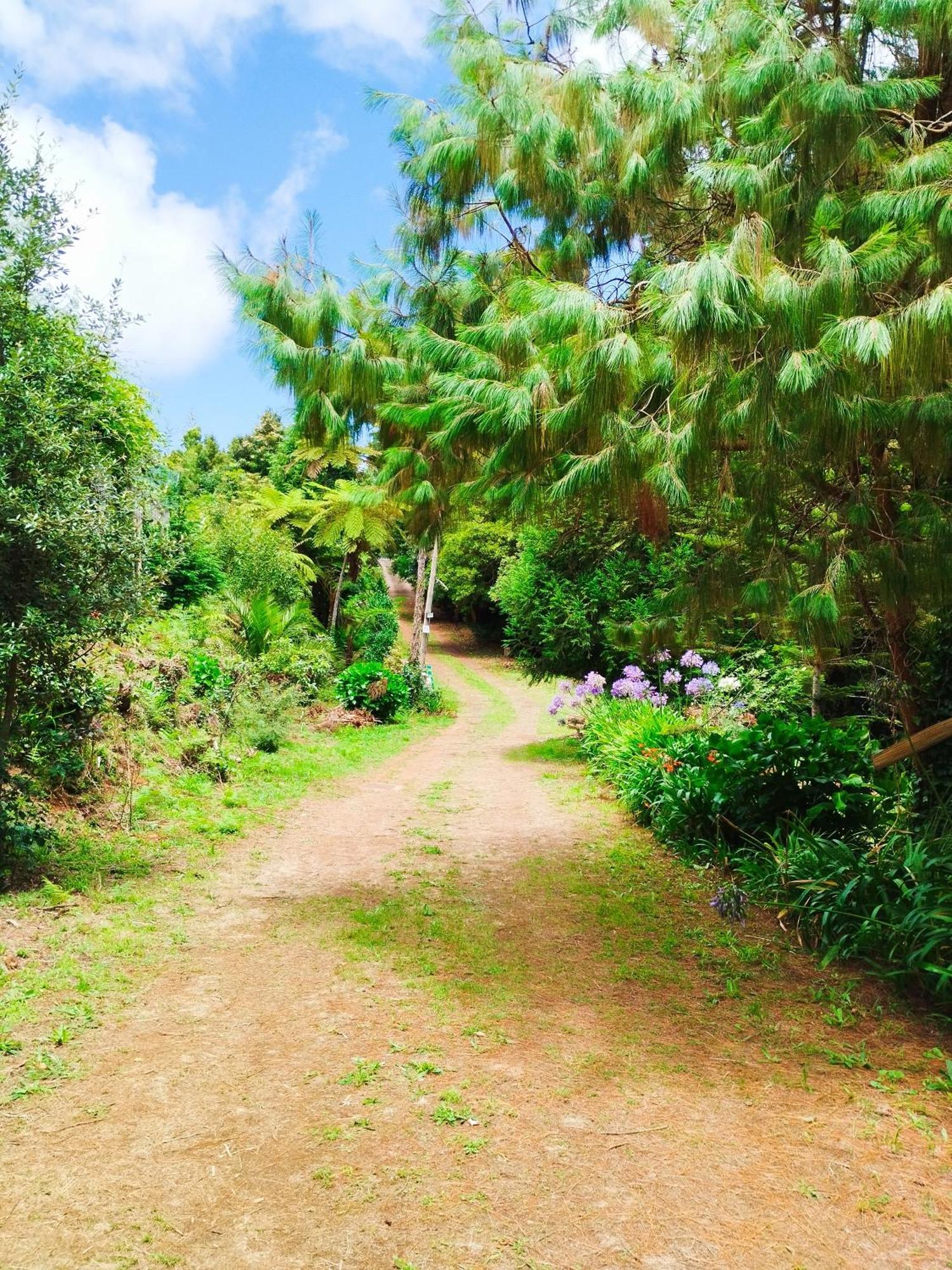 Quinta Meneses Villa Santa Cruz  Buitenkant foto